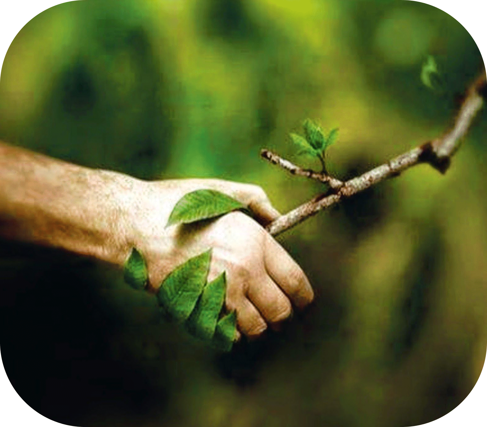 Faery_Earth_Walk_Session Faery_Earth_Walk_Session