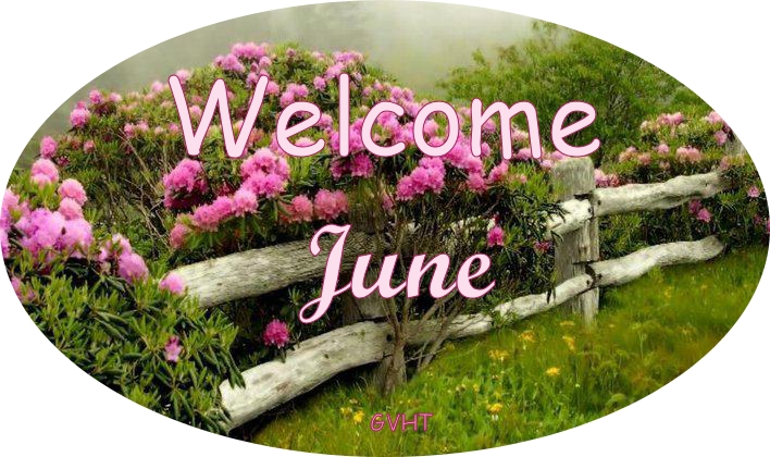 Welcome_June Welcome_June